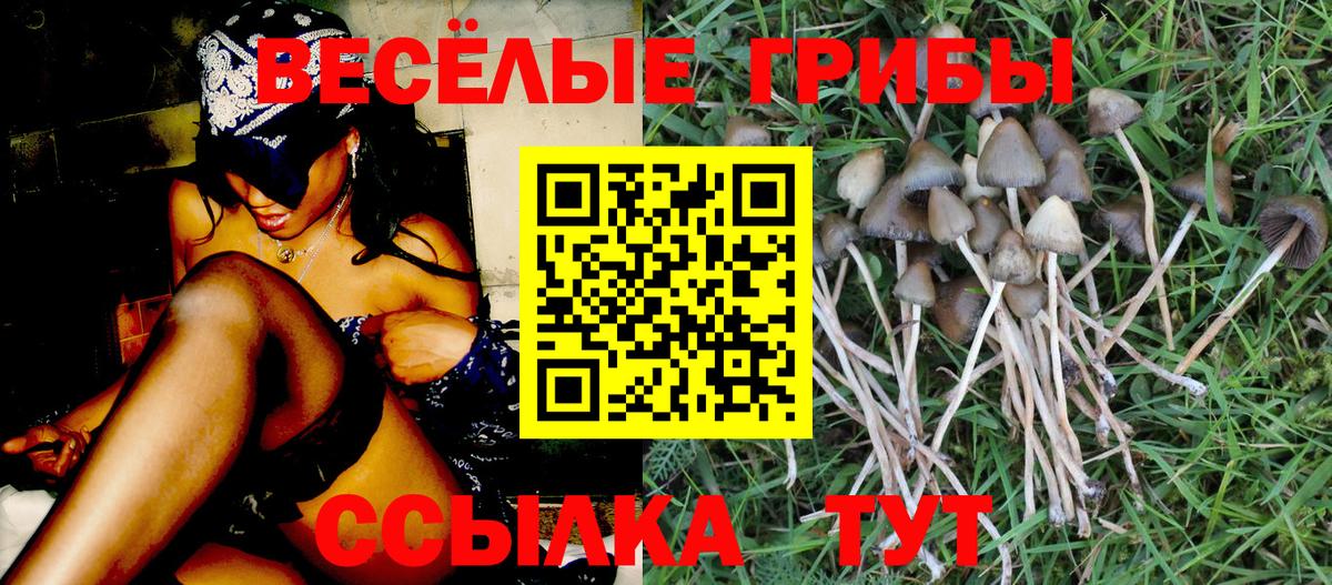 Ликино-Дулёво  Псилоцибиновые грибы Cubensis  Вход с VPN  Галлюциногенные грибы Magic Shrooms 